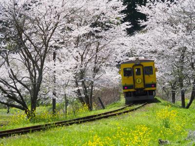 春色のいすみ鉄道