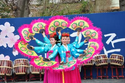 春彩！！ 韓国桜めぐり ・ 前編　＜ 第５５回鎮海軍港祭 ＞