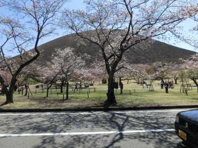 温泉と料理を楽しみに、おまけで花見も