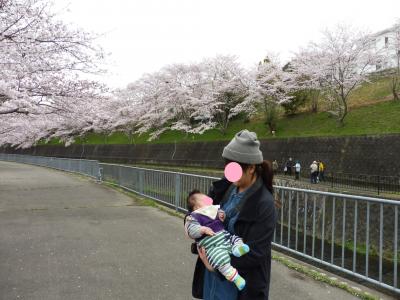 来年の桜の季節には歩いているかな(*^-^*)