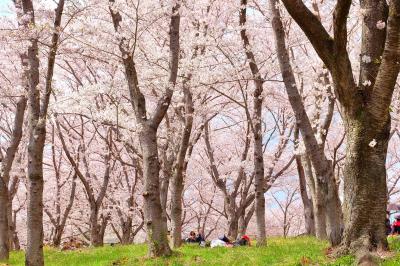 播磨中央公園