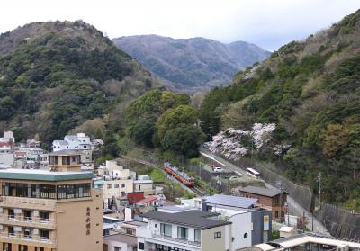 湯本富士屋ホテル（眺望）