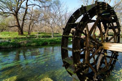 安曇野　大王わさび農場は一見の価値ありでした