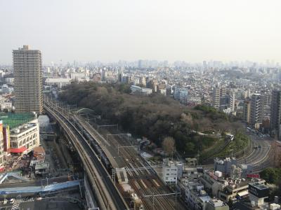 飛鳥山公園