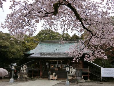 青春18きっぷで、福島の花見山へ　(1日目）宇都宮、黒磯散歩→福島へ