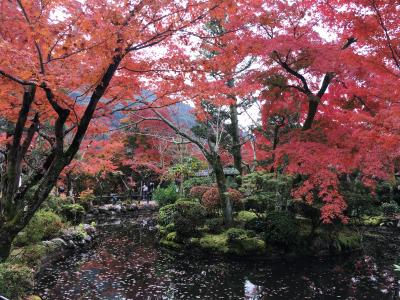 エクシブ京都八瀬離宮　紅葉