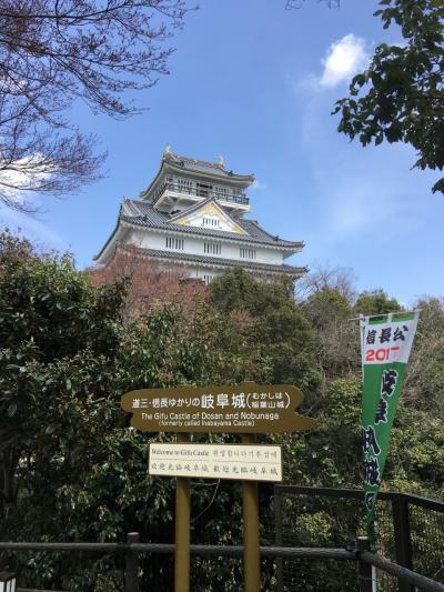 一度見てみたかった日本３大桜のひとつ　根尾の薄墨桜 初日