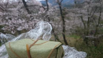 吉野へお花見へ 時々 柿の葉寿司