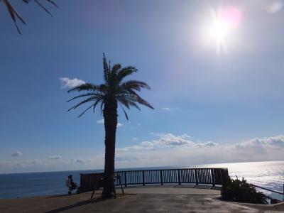 宮崎・鹿児島グルメツアー　３日目　宮崎牛の焼き肉とお寿司。そのあと大雪の鹿児島へ。