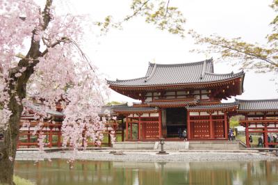 京都宇治観光（平等院鳳凰堂、宇治神社、宇治上神社、源氏物語ミュージアム）