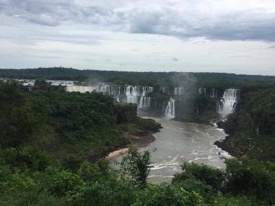 大きな時空に包まれて～南米１２日間　9.イグアスの滝（ブラジル側）その前に野鳥園