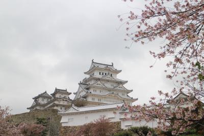 三の一　雨の姫路城
