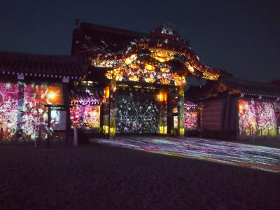 青春１８きっぷの旅　２０１７年春　桜を求めて京都へ　〈５〉　～夜と昼間の二条城～