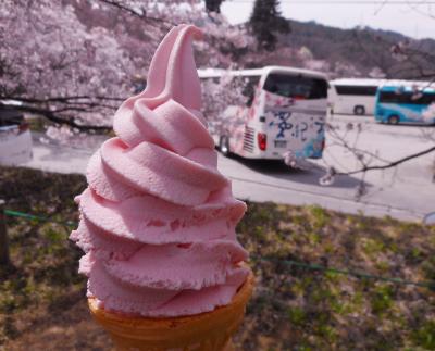 天下第一の桜『高遠桜』 ＆ 日本三大桜のひとつ『神代桜』