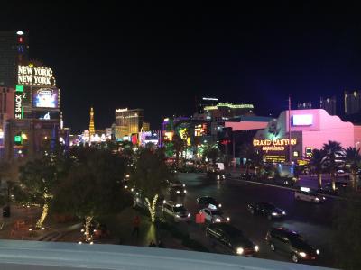 ラスベガス・グランドキャニオン女子ひとり旅(NYから3泊4日)