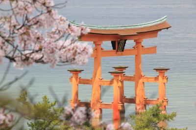 宮島&錦帯橋 羽田から日帰りお花見弾丸ツアー　　～桜を求めて歩きまわった宮島～