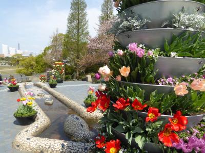 春爛漫の優雅な横浜♪　Ｖｏｌ21　☆山下公園　スペイン広場から立体感のある庭園へ♪