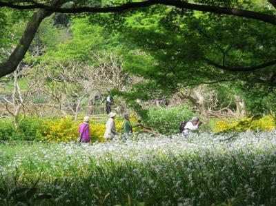 新緑の皇居・東御苑を訪問する①大手門～二の丸庭園