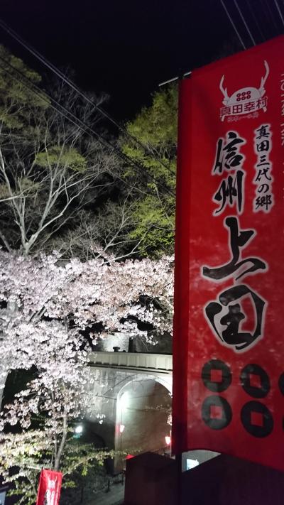 上田の夜桜