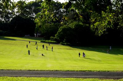 自然豊かなシドニー郊外の公園でお散歩@Fagan Park