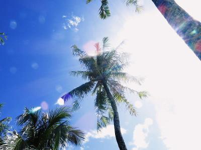 2017 グアム フィエスタリゾート 前編