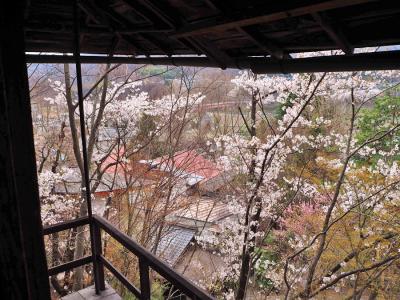 信州・桜満開の候　水明楼を訪ねて