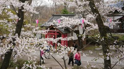 懐古園　小諸に来たらここしか無い！　桜の名所で桜ざんまい！