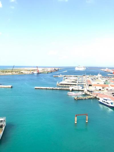 南ぬ島 今年おはつ〜