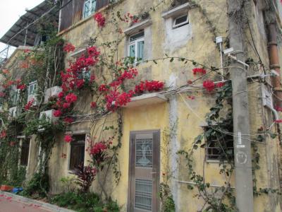 Day2 マカオ・香港 パンダ見てからずっと心に残っていたコロアンへ