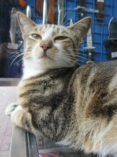 Day8 マカオ・香港 九龍半島○○街巡りと中環