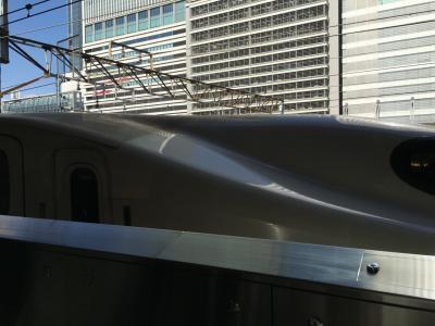 引っ越しの手伝いに合わせてホテルを楽しむ