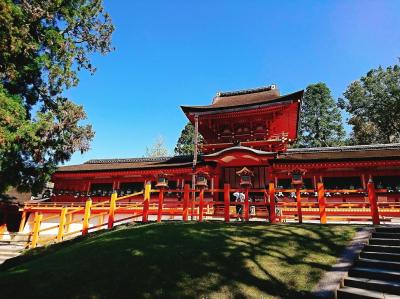 京都-奈良、名残の桜と美術館巡り 3日目