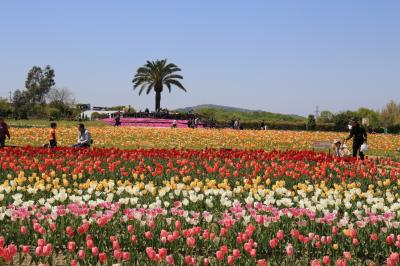 旅するイルカ♪　和泉リサイクル環境公園へ　春を感じに