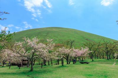 新緑を楽しむ大室山お鉢巡り、そしてついでの美術館巡り～大室山・象牙と石の彫刻美術館・ステンドグラス美術館～