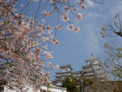 桜吹雪の兵庫を歩く♪　世界遺産・姫路城に美食の神戸、ちょっと懐かしい場所も訪れて　最後は有馬温泉でほっこり旅　０日目＆１日目
