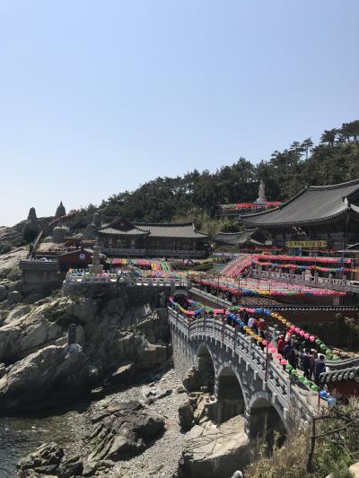 初釜山・女二人旅・関空発一泊二日