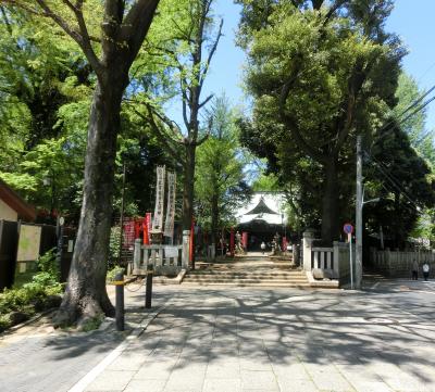 雑司ヶ谷霊園掃苔記。ついでに鬼子母神と護国寺。