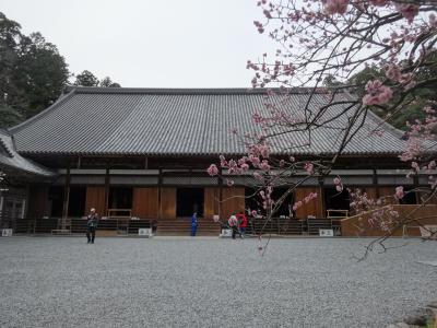 桜の季節に仙台の旅  ☆初日は松島を駆け足観光