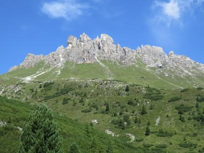 オーストリア　チロル州　シュトゥバイタールの旅エルファーでハイキングその２ Panoramaweg  karalm～Elferhutte 2017年8月【10】     