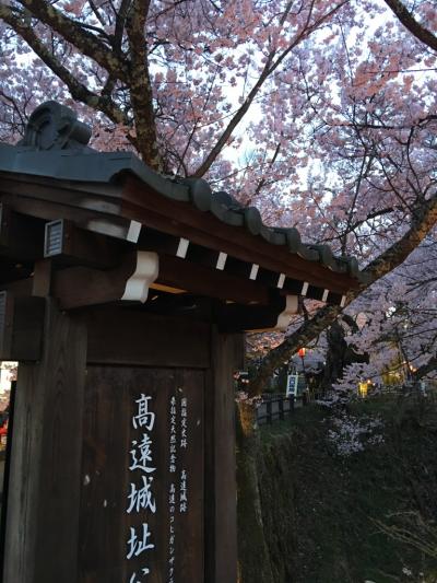 満開の高遠桜を見にゆく