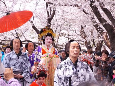 岩手県　北上　展勝地　さくらまつり