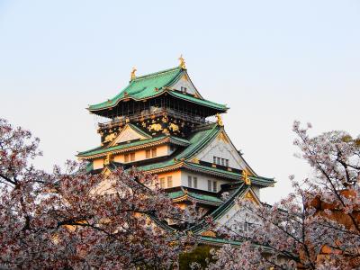 大阪の桜巡り 2017年