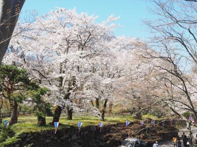 2017年4月、エクシブ軽井沢（懐古園part1）