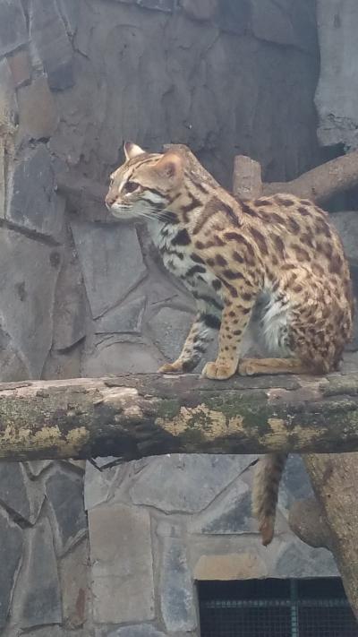 ホーチミンで動物園&#128049;