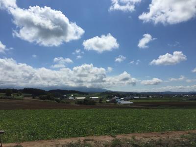 素晴らしい景観と花畑に癒された富良野・美瑛巡り（その１）