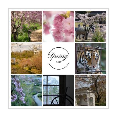 桜追いかけて･･･愛知の観光名所 東山動植物園と博物館 明治村