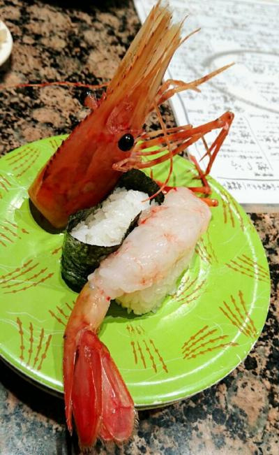 お寿司を食べに、ちょっと北海道へ行ってきました－姉妹でたらふく食べるぞ日帰り旅行－