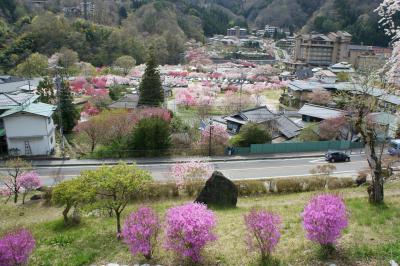 昼神温泉郷の花桃