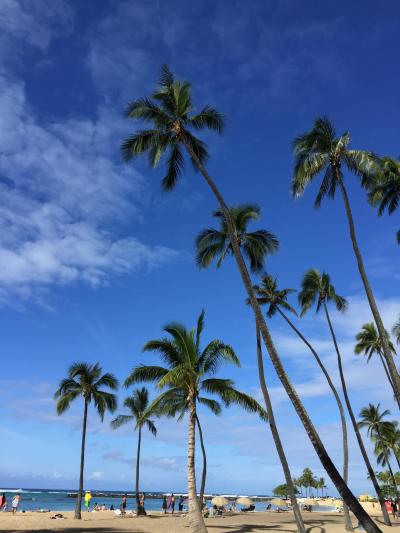 ハワイのトイレ事情