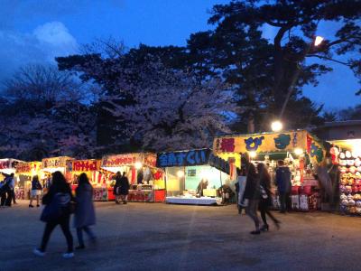 夜桜見学へ　千秋公園